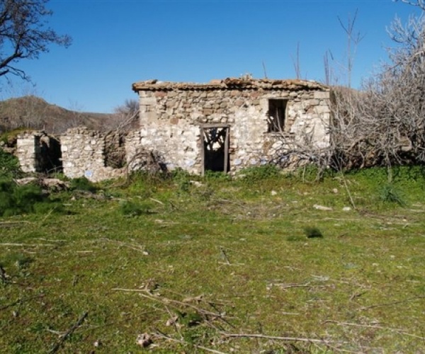 Kampos Eressos, Lesvos Island 81105, ,House and Land,For Sale,1142