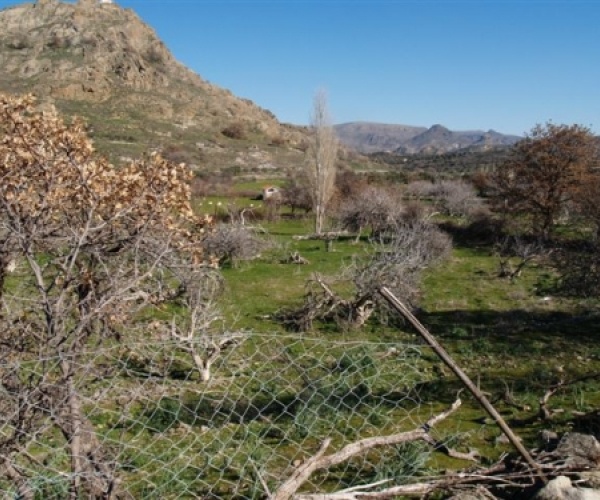 Kampos Eressos, Lesvos Island 81105, ,House and Land,For Sale,1142