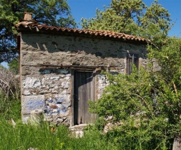 Skala Eressos, Lesvos Island 81105, ,House and Land,For Sale,1143
