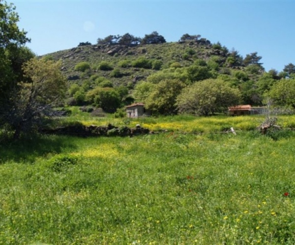 Skala Eressos, Lesvos Island 81105, ,House and Land,For Sale,1143