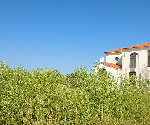 Kalloni, Lesvos Island 81107, 4 Bedrooms Bedrooms, ,House and Land,For Sale,1145