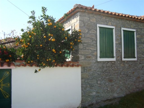 Eressos, Lesvos Island 81105, 3 Bedrooms Bedrooms, ,1 BathroomBathrooms,House,For Sale,1146