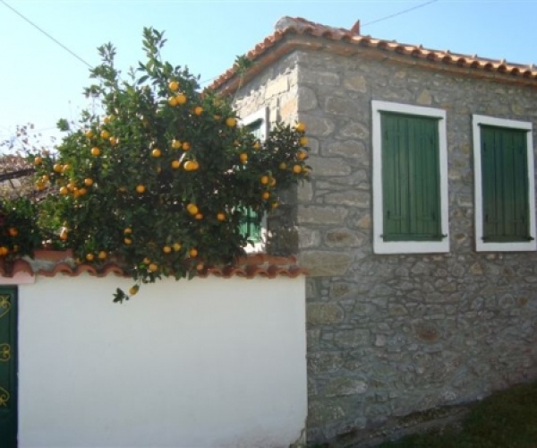 Eressos, Lesvos Island 81105, 3 Bedrooms Bedrooms, ,1 BathroomBathrooms,House,For Sale,1146