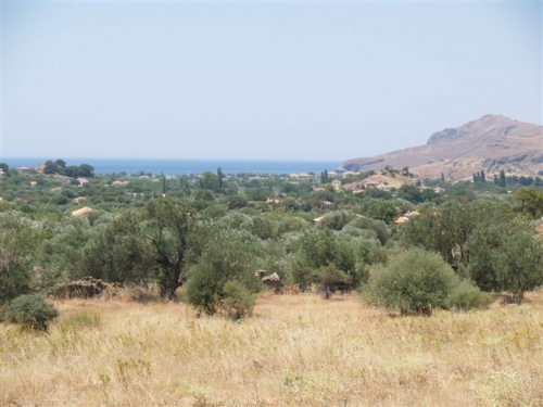 Kampos Eressos, Lesvos Island 81105, ,Land Plot,For Sale,1147