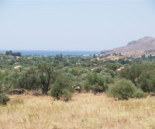 Kampos Eressos, Lesvos Island 81105, ,Land Plot,For Sale,1147