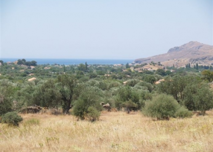Kampos Eressos, Lesvos Island 81105, ,Land Plot,For Sale,1147