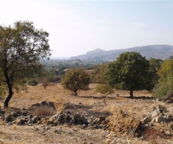 Kampos Eressos, Lesvos Island 81105, ,Land Plot,For Sale,1147