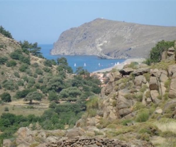 Skala Eressos, Lesvos Island 81105, ,Land Plot,For Sale,1150