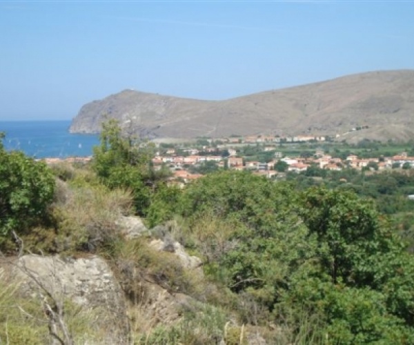 Skala Eressos, Lesvos Island 81105, ,Land Plot,For Sale,1150