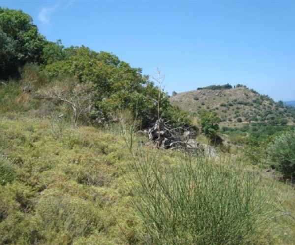 Skala Eressos, Lesvos Island 81105, ,Land Plot,For Sale,1150