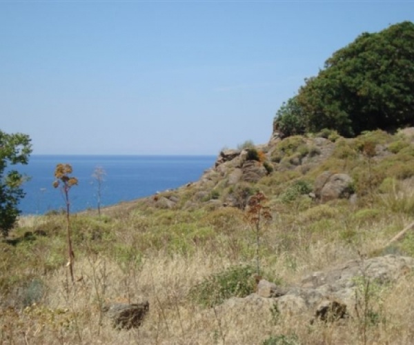 Skala Eressos, Lesvos Island 81105, ,Land Plot,For Sale,1150