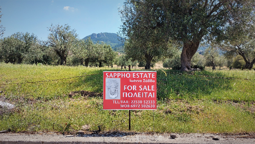 Petra, Lesvos Island 81109, ,Land Plot,For Sale,1151