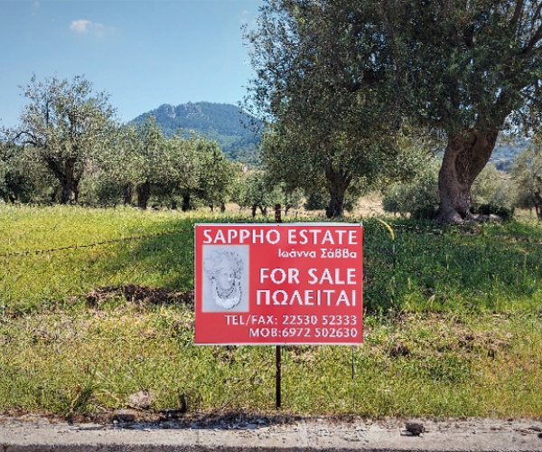 Petra, Lesvos Island 81109, ,Land Plot,For Sale,1151