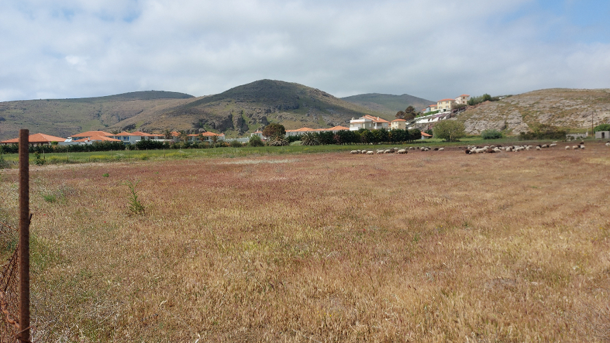 Skala Eressos, Lesvos Island 81105, ,Land Plot,For Sale,1152