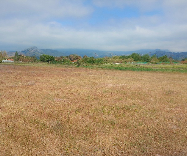 Skala Eressos, Lesvos Island 81105, ,Land Plot,For Sale,1152