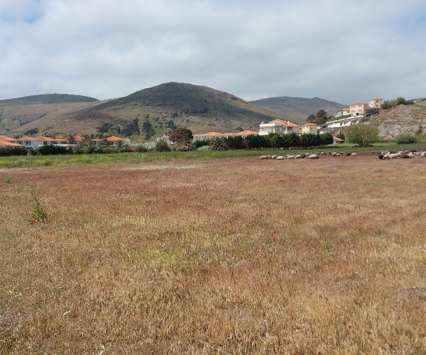 Skala Eressos, Lesvos Island 81105, ,Land Plot,For Sale,1152