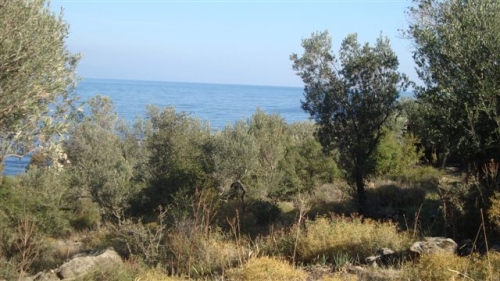 Skala Sykamnias, Lesvos Island 81108, ,Land Plot,For Sale,1153