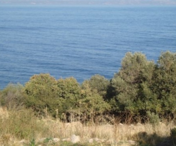 Skala Sykamnias, Lesvos Island 81108, ,Land Plot,For Sale,1153