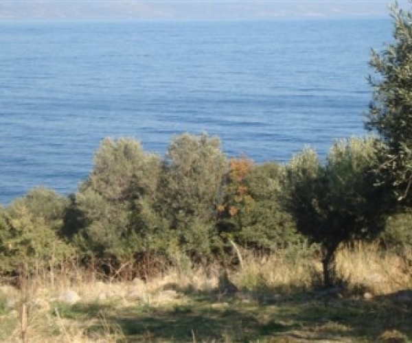 Skala Sykamnias, Lesvos Island 81108, ,Land Plot,For Sale,1153