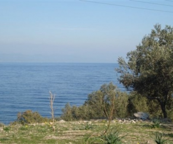 Skala Sykamnias, Lesvos Island 81108, ,Land Plot,For Sale,1153