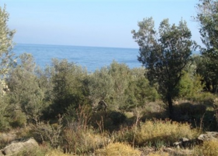 SKS0001 Land for sale