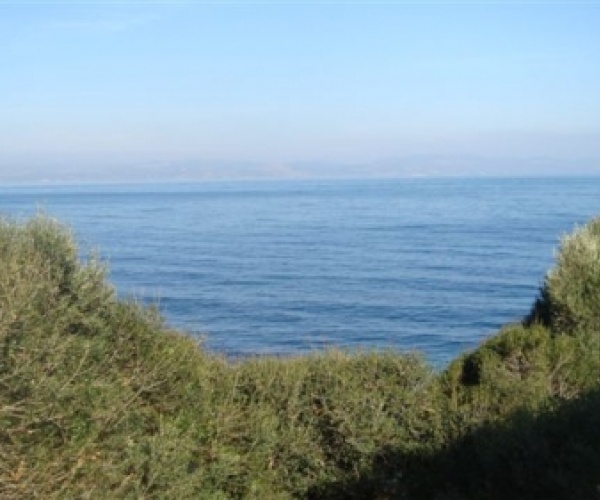 Skala Sykamnias, Lesvos Island 81108, ,Land Plot,For Sale,1153