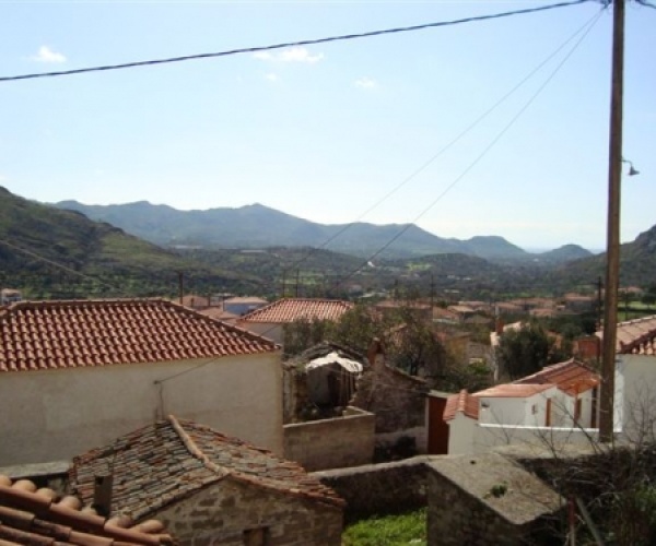 Eressos, Lesvos Island 81105, 2 Bedrooms Bedrooms, ,House,For Sale,1158