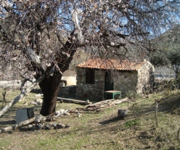 Eressos, Lesvos Island 81105, ,House and Land,For Sale,1159