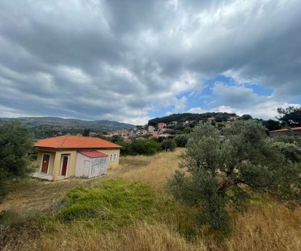 Vatoussa, Lesvos Island 81103, 3 Bedrooms Bedrooms, ,2 BathroomsBathrooms,House,For Sale,1165