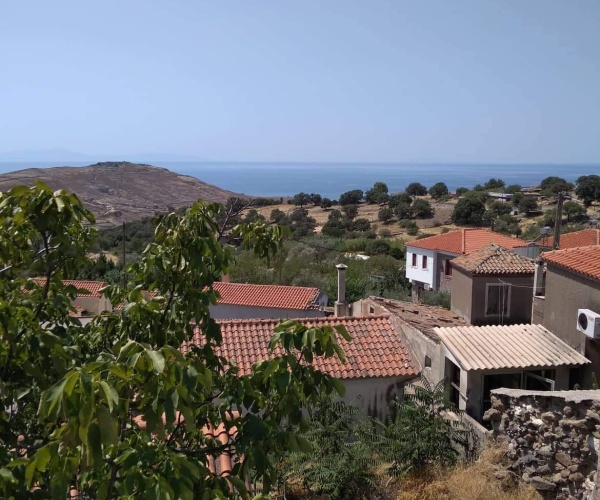 Mesotopos, Lesvos Island 81105, 1 Bedroom Bedrooms, ,1 BathroomBathrooms,House,For Sale,1167