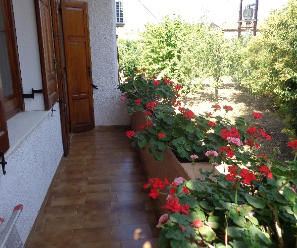Skala Eressos, Lesvos Island 81105, 3 Bedrooms Bedrooms, ,2 BathroomsBathrooms,House and Land,For Sale,1169