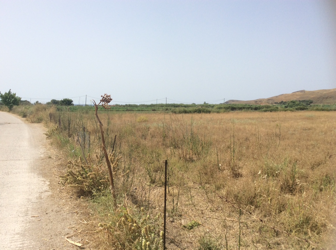 Sigri, Lesvos Island 81103, ,Land Plot,For Sale,1175