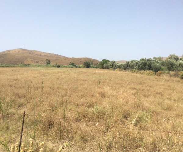 Sigri, Lesvos Island 81103, ,Land Plot,For Sale,1175