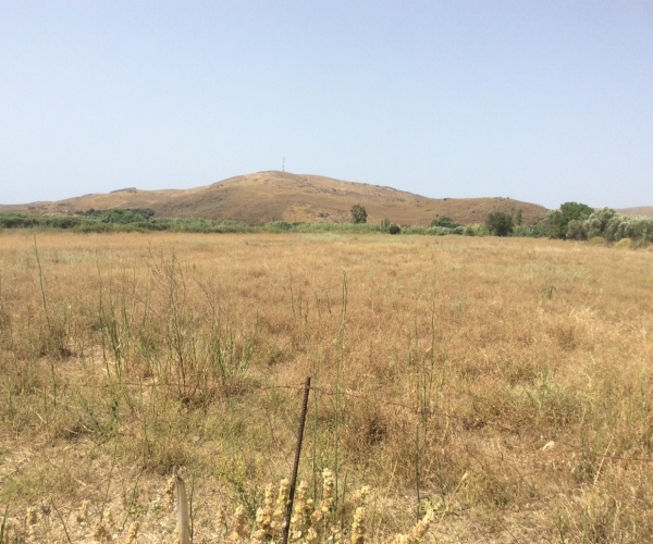 Sigri, Lesvos Island 81103, ,Land Plot,For Sale,1175