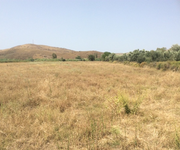 Sigri, Lesvos Island 81103, ,Land Plot,For Sale,1175