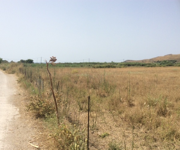 Sigri, Lesvos Island 81103, ,Land Plot,For Sale,1175