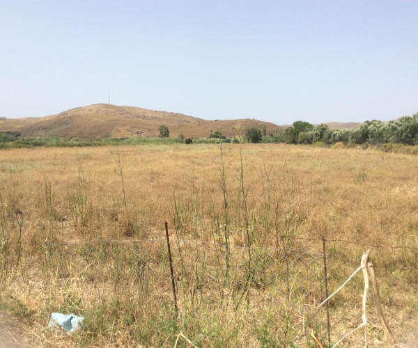 Sigri, Lesvos Island 81103, ,Land Plot,For Sale,1175