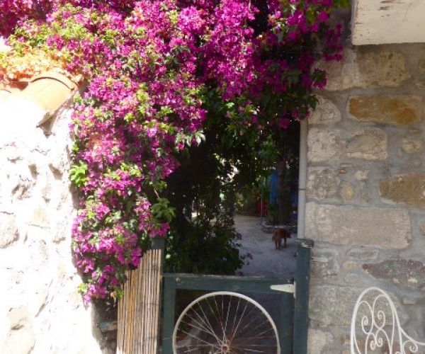 Eressos, Lesvos Island 81105, 3 Bedrooms Bedrooms, ,2 BathroomsBathrooms,House,For Sale,1018