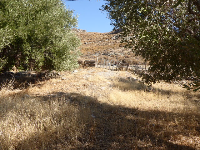 Skala Eressos, Lesvos Island 81105, ,Land Plot,For Sale,1189