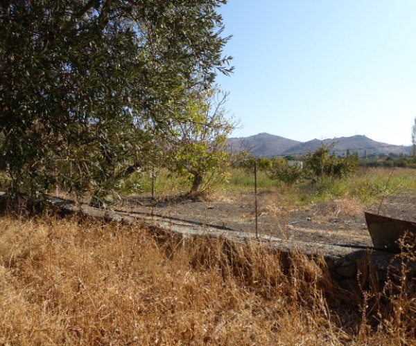 Skala Eressos, Lesvos Island 81105, ,Land Plot,For Sale,1189