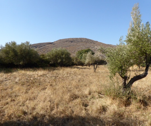 Skala Eressos, Lesvos Island 81105, ,Land Plot,For Sale,1189