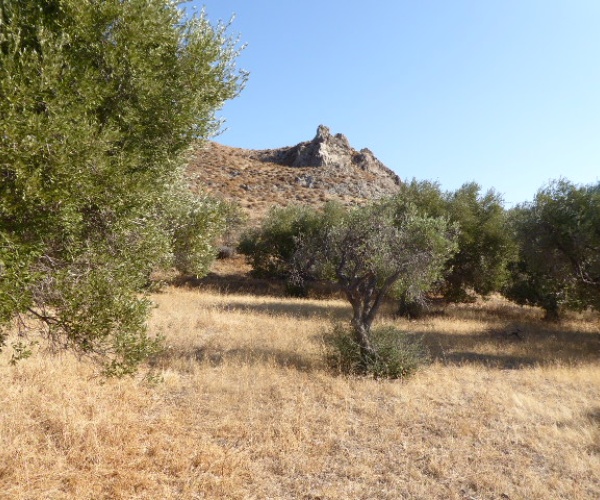 Skala Eressos, Lesvos Island 81105, ,Land Plot,For Sale,1189