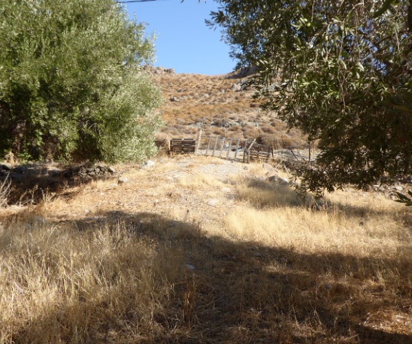 Skala Eressos, Lesvos Island 81105, ,Land Plot,For Sale,1189