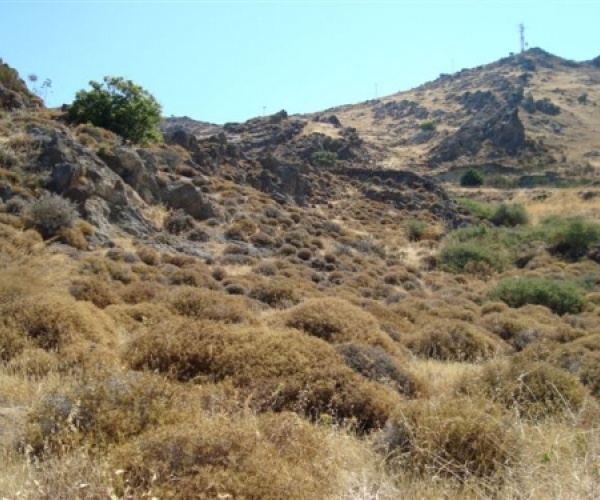 Skala Eressos, Lesvos Island 81105, ,Land Plot,For Sale,1192