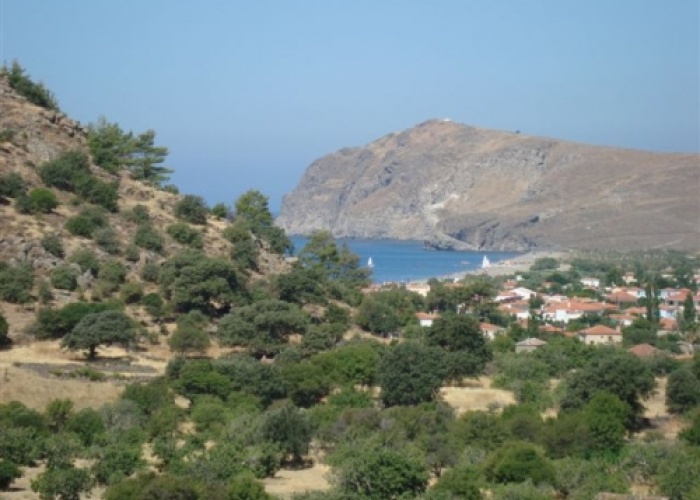 Skala Eressos, Lesvos Island 81105, ,Land Plot,For Sale,1192
