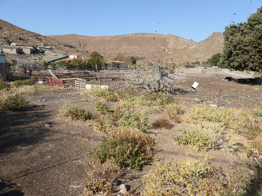 Skala Eressos, Lesvos Island 81105, ,Land Plot,For Sale,1194