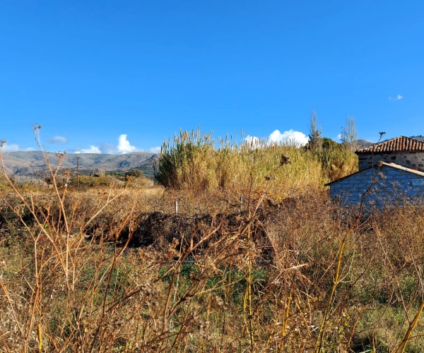 Skala Eressos, Lesvos Island 81105, ,Land Plot,For Sale,1196