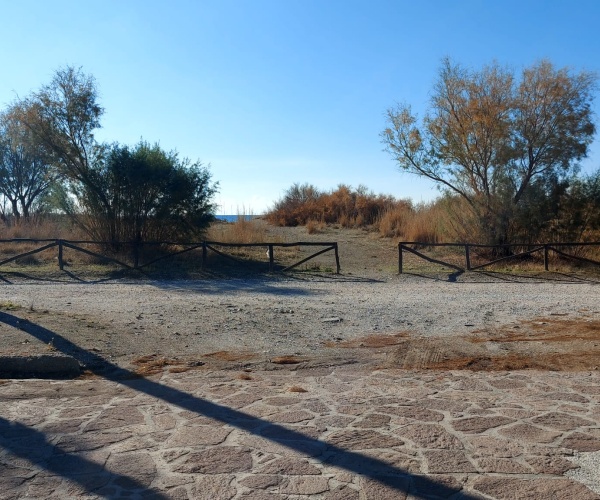 Skala Eressos, Lesvos Island 81105, 0 , 0 ,0,Land Plot,For Sale,0,1198