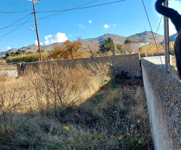 Skala Eressos, Lesvos Island 81105, 0 , 0 ,0,Land Plot,For Sale,0,1198