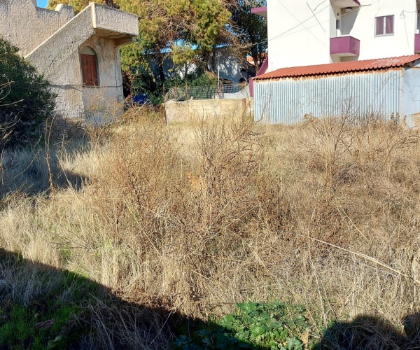 Skala Eressos, Lesvos Island 81105, 0 , 0 ,0,Land Plot,For Sale,0,1198